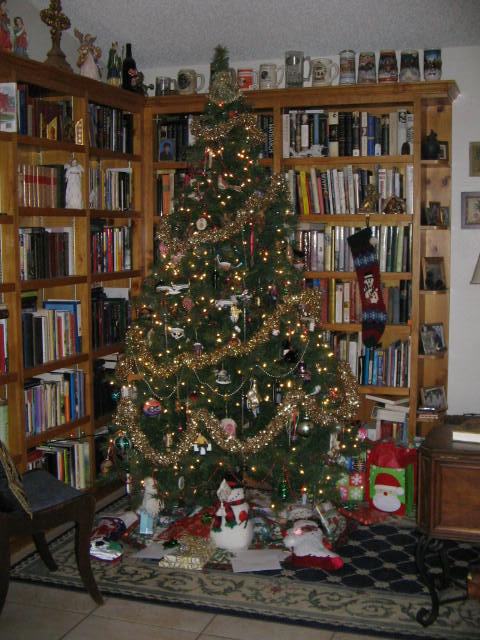 Christmas Tree 2011