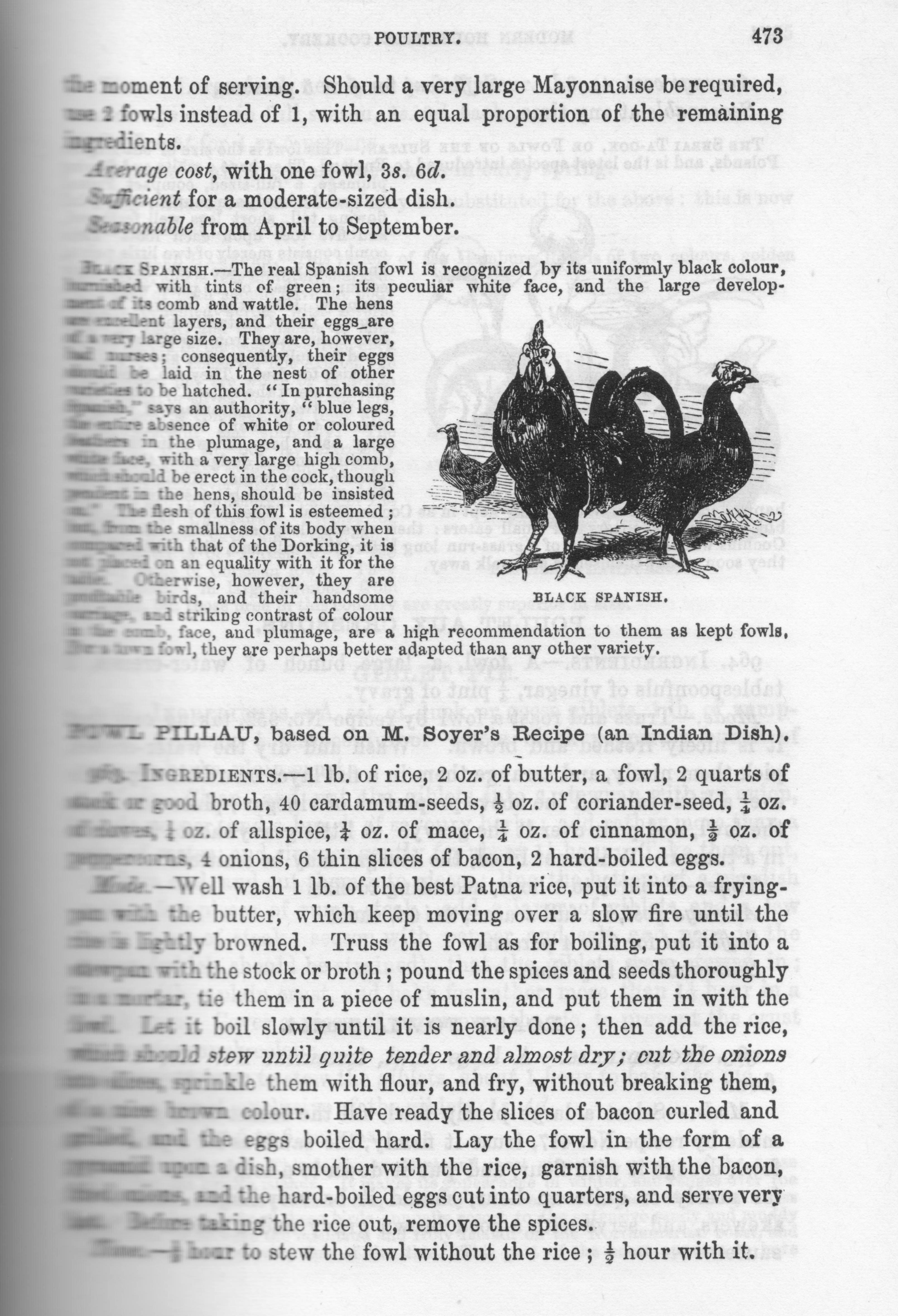 Mrs Beeton-Black Spanish chicken 001